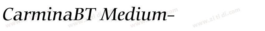 CarminaBT Medium字体转换